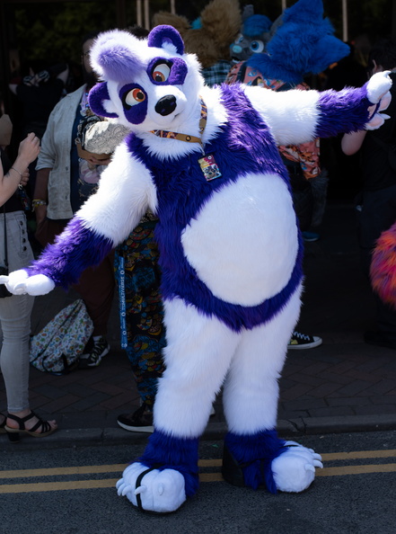 IMGP9516.jpg