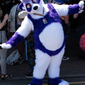 IMGP9516