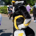 IMGP9545