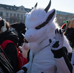IMGP2169
