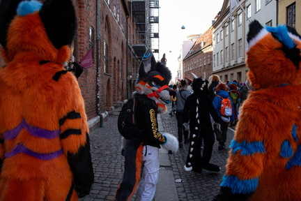 IMGP2346