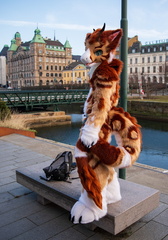 IMGP2684